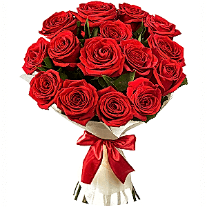 17 Red Roses Bouquet