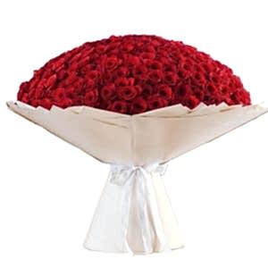 Bouquet of 365 Red Roses
