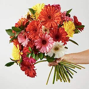 Sunkissed Gerbera Bouquet